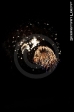 Eröffnungsfeuerwerk Kerwe Kaiserslautern 2012