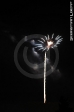 Eröffnungsfeuerwerk Kerwe Kaiserslautern 2012