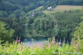 Natur