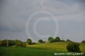 Natur