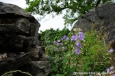 Natur