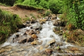 Natur