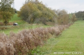 Rallye rund um Losheim 2012