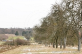 Litermont Rallye 2013