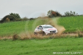 Rally de France 2013