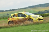 Rally de France 2013