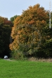 Rallye Potzberg 2013
