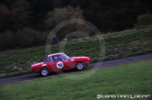 Rallye Potzberg 2014