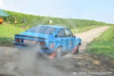 Rallye Alzey 2017