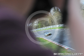 VLN Qualifikations-Rennen 2018