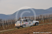 Rallye Südliche Weinstarsse 2019
