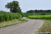 Rallye Potzberg