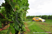 Rallye Mittelrhein 2025